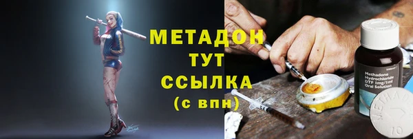сатива Елизово