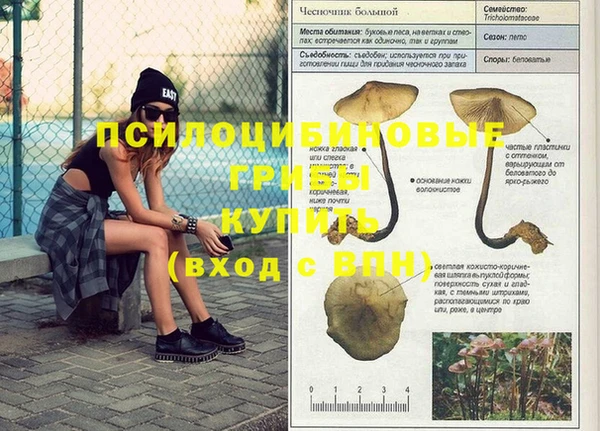 бошки Грязи
