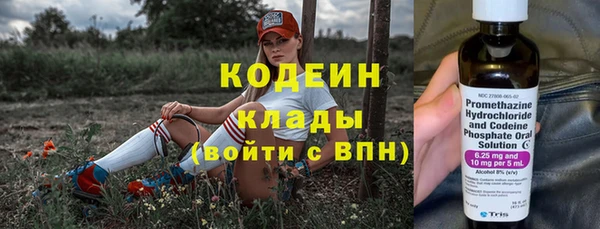 гашик Губаха
