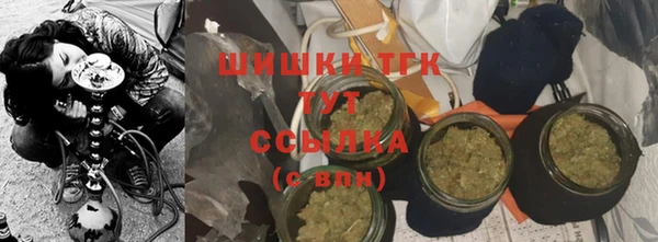 гашик Губаха
