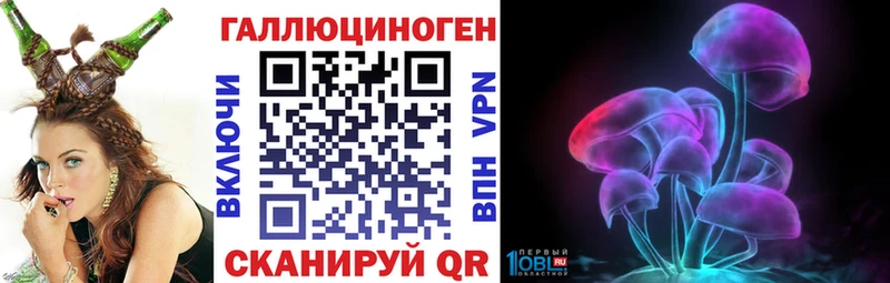 где найти   Нижнекамск  Псилоцибиновые грибы Psilocybe 
