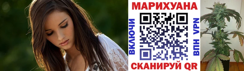 Каннабис план  купить наркотики цена  Нижнекамск 